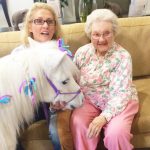 Pony Visiting An Elderly Lady 