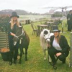 Ponies At The Melbourne Cup 